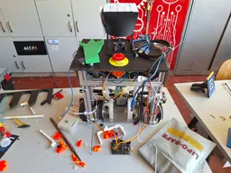 Gallery image number 12